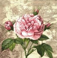 Serwetka 33x33cm - Vintage Rose With Buds