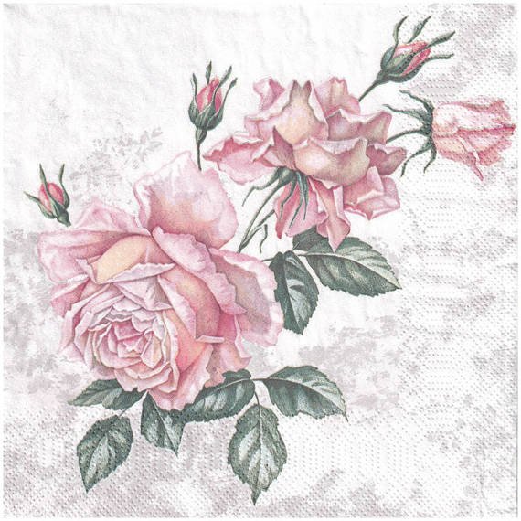 Serwetka 33x33cm - Vintage Roses róża