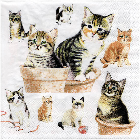 Serwetka do decoupage 33x33cm - Cute kittens kotki