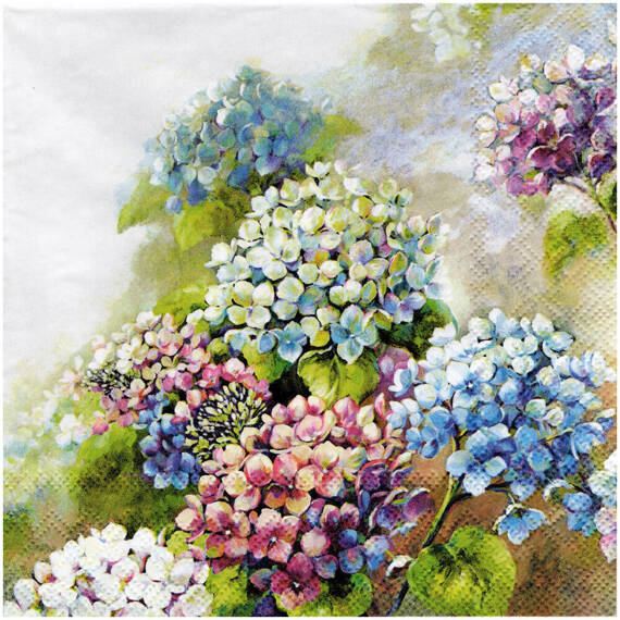 Serwetka do decoupage 33x33cm - Hydrangea hortensje