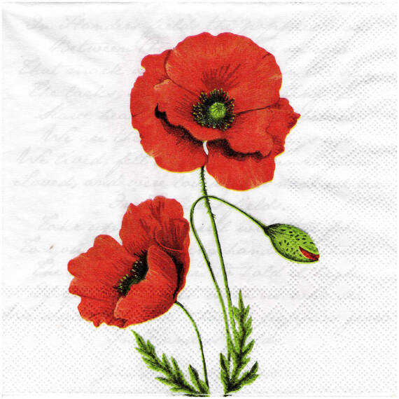 Serwetka do decoupage 33x33cm - Proud poppy maki