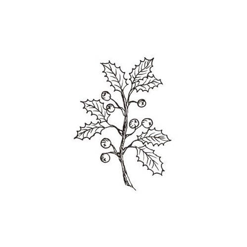 Stempel polimerowy - Ostrokrzew - Agateria