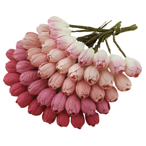 Tulipany - mix różowy - 50szt