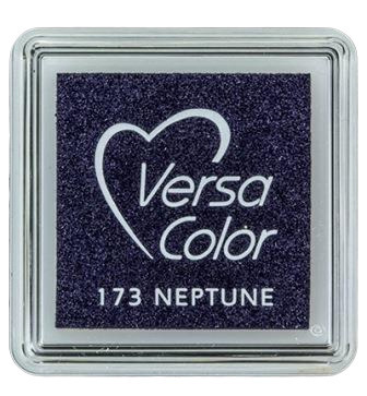 Tusz pigmentowy VersaColor Small - Neptune - 173 szary