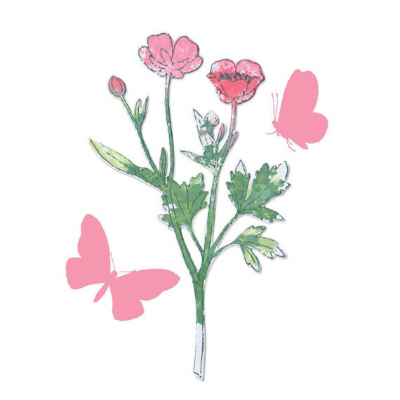 Wykrojnik Sizzix Framelits + stemple - Painted Pencil Botanical by 49 and Market