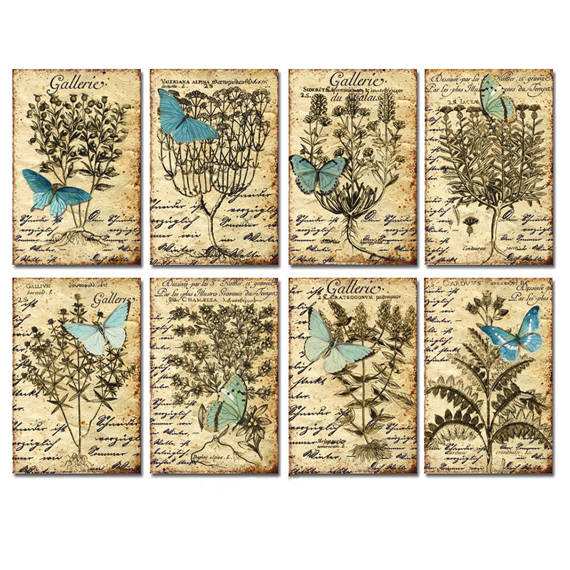 Zestaw papierów do scrapbookingu 11x7 cm - Decorer - Motyle i zioła