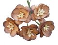Kwiaty wiśni czekoladowo-brązowe - 50szt