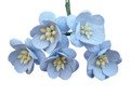 Kwiaty wiśni - dziecięcy niebieski - 50szt