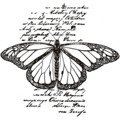 Stempel - Motyl na tle - Agateria