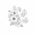Stempel polimerowy - Dzika róża - Agateria