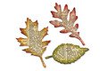 Wykrojnik Sizzix – Bigz Dies - Tattered Leaves by Tim Holtz 656927 liście